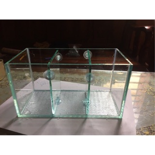 Betta 3 ngăn- bể nuôi cá cảnh
