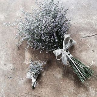 10 cành hoa sao tím