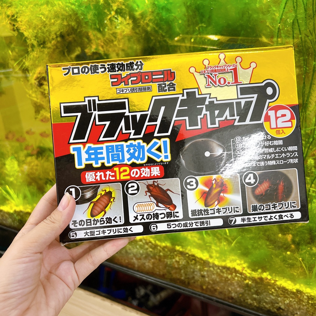 DIỆT GIÁN NHẬT BẢN - SET 12 VIÊN ĐUỔI GIÁN, CÔN TRÙNG TIỆN DỤNG, TẬN GỐC AN TOÀN