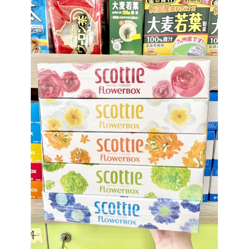 🇯🇵[ HÀNG NHA.P. KH.AU .NHẬT BẢN ]🇯🇵 Set khăn giấy Scottie 5 màu cao cấp
