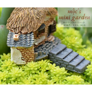 Tiểu cảnh mini_Bậc thang xám_CA167