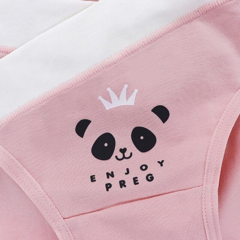 Sét 4 Quần Lót Bầu Cotton Cao Cấp Túi Zíp 20020