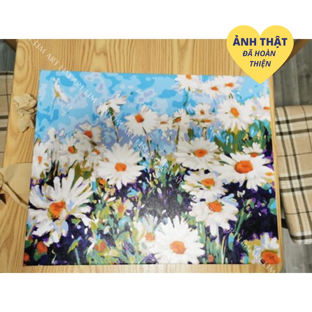 Tranh sơn dầu số hóa tự tô có khung chuẩn màu LIM Art - Tranh tô màu theo số hoa cúc họa mi T516