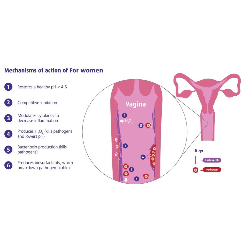 Men vi sinh OptiBac Tím 30 viên, 90 viên | BigBuy360 - bigbuy360.vn