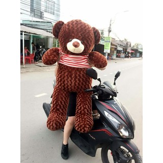 Gấu bông Teddy 2M