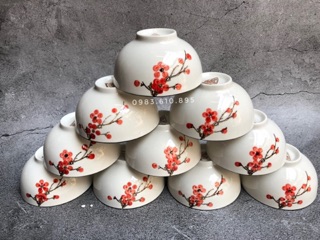 Bộ 10 Bát Cơm Sứ Bát Tràng Vẽ Hoa Đào