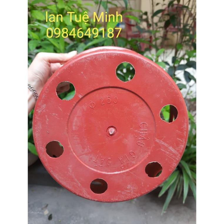 Chậu nhựa giả đất chuyên dùng trồng lan loại đẹp