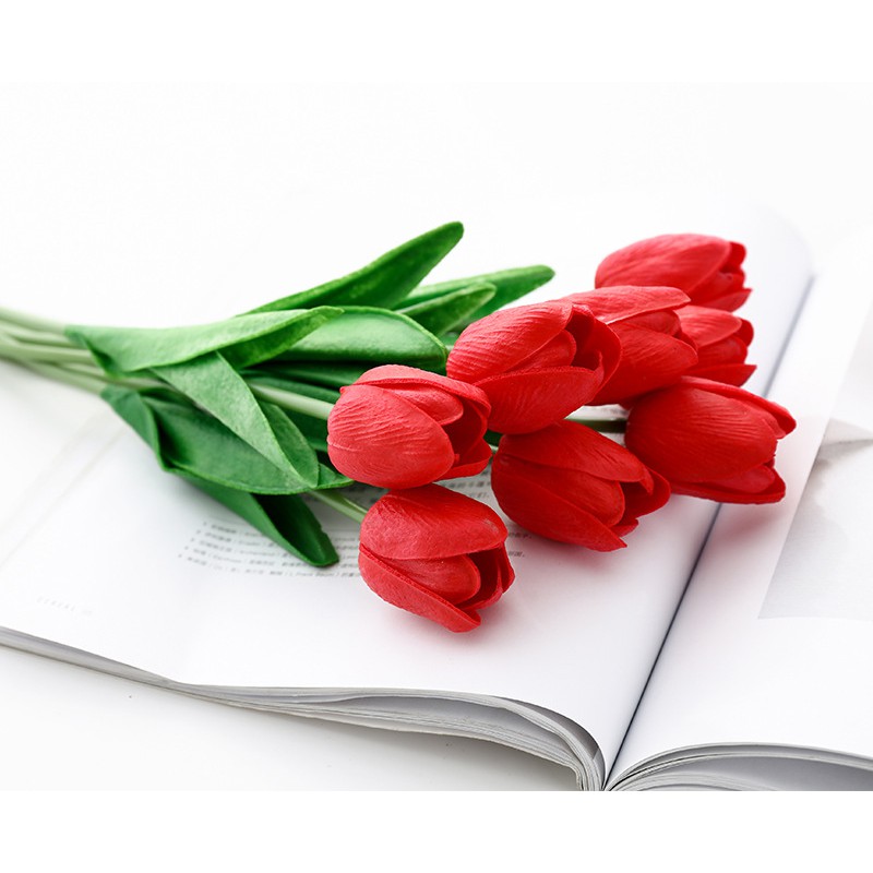 Hoa tuylip phụ kiện chụp ảnh