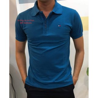 Áo thun cổ bẻ nam nữ màu xanh coban. xưởng sx