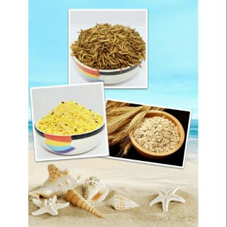 Combo sâu rang cốm trứng yến mạch