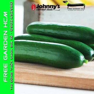 COMBO 25 HẠT DƯA LEO (DƯA CHUỘT) DIVA - Johnny’s Seed – Mỹ