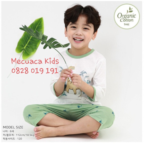 [120, 5-6y] Bộ cotton lửng hè thu xanh khủng long cho bé trai xuất Hàn dư xịn