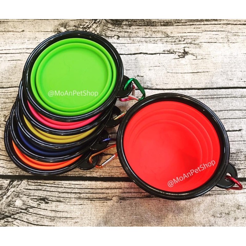 Vật dụng du lịch thú cưng