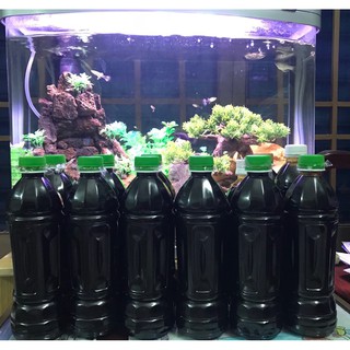 NƯỚC MÀU DỪA BẾN TRE 100K/500ml
