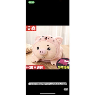 Túi sưởi cute