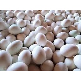 [Vựa Phan Hoàng,Q.6] Trứng Vịt Lộn - 10 trứng (Đóng vỉ sẵn) | BigBuy360 - bigbuy360.vn