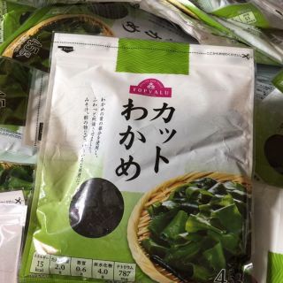 Rong biển nhật cho bé