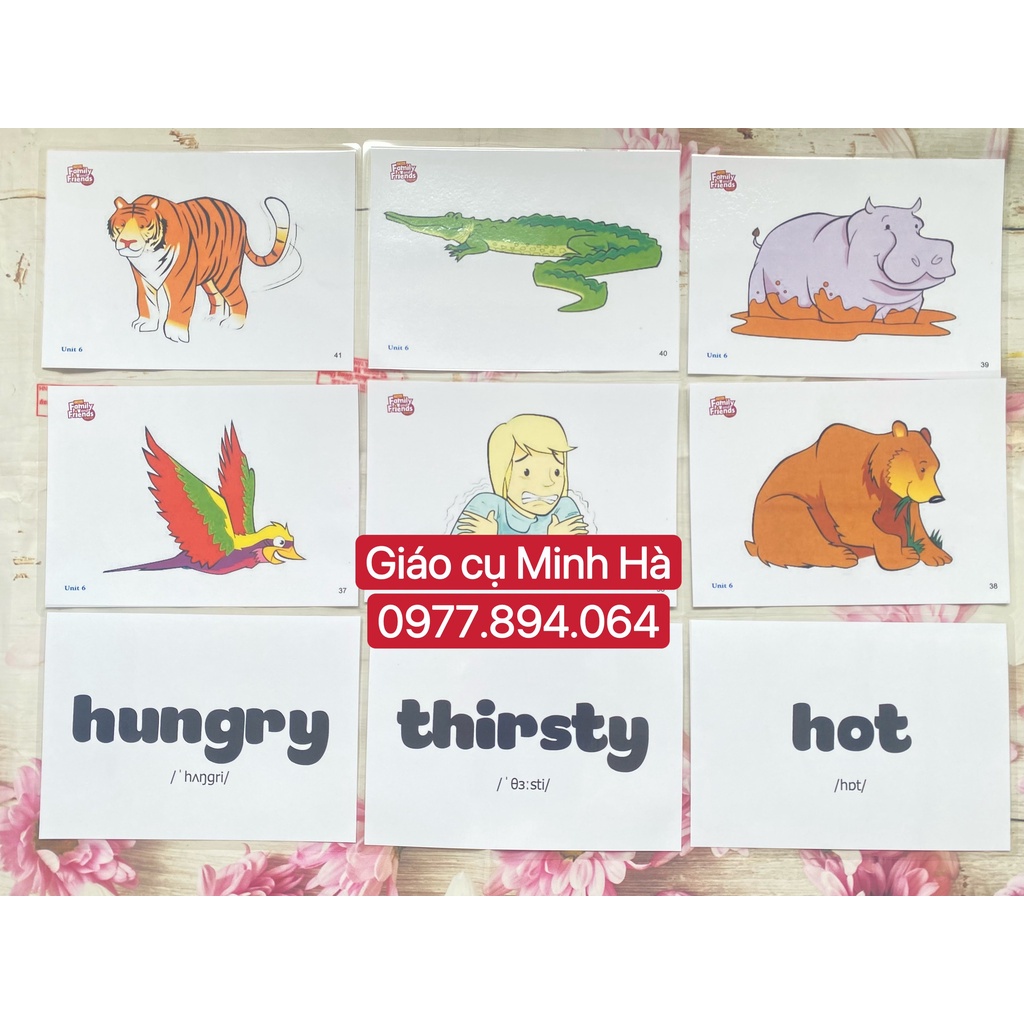 Flashcards Family and Friends Starter- phiên bản 2nd -Thẻ từ vựng  và  phonics -ép plastic