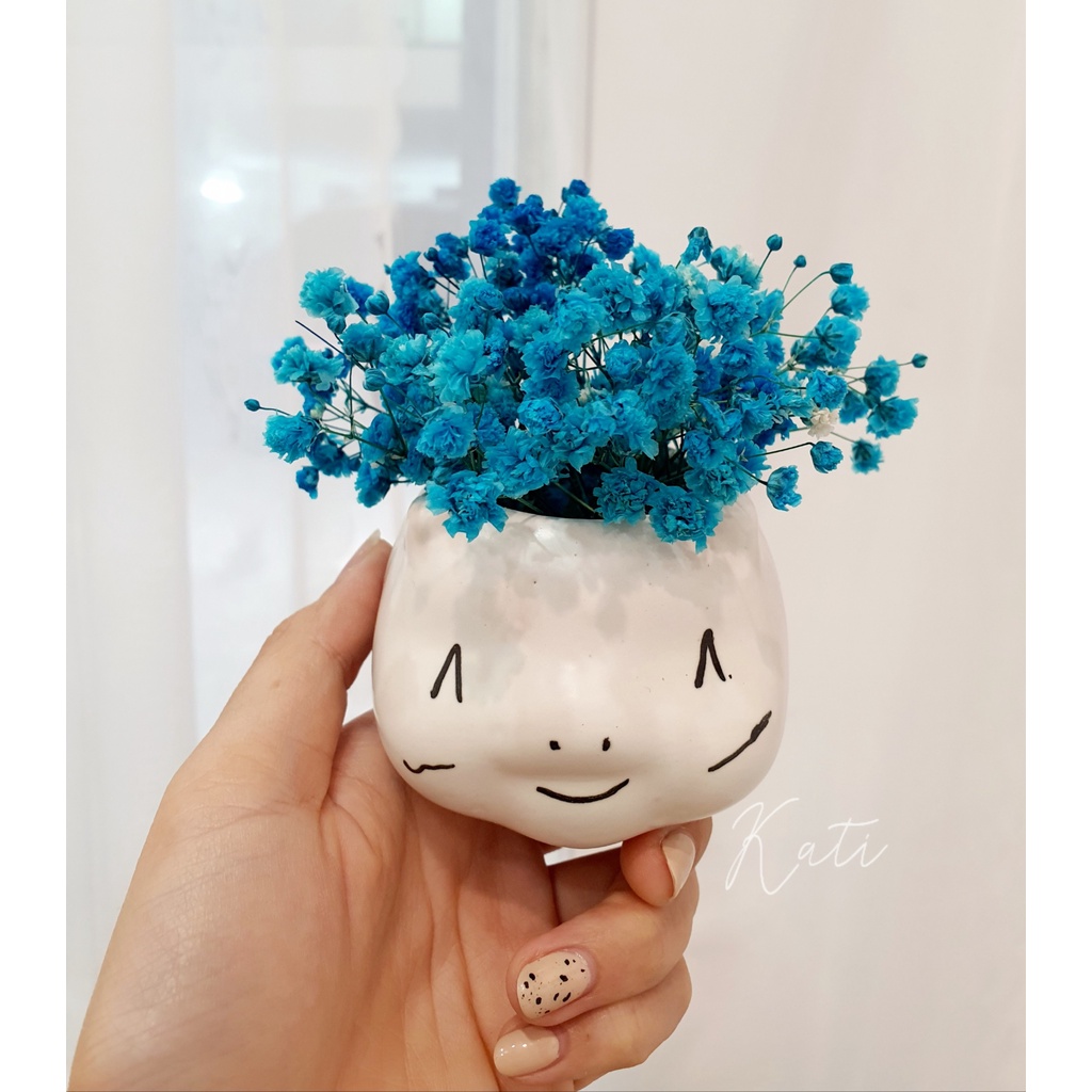 Bình hoa baby khô con mèo so cute, hoa trang trí, bình decor bàn học