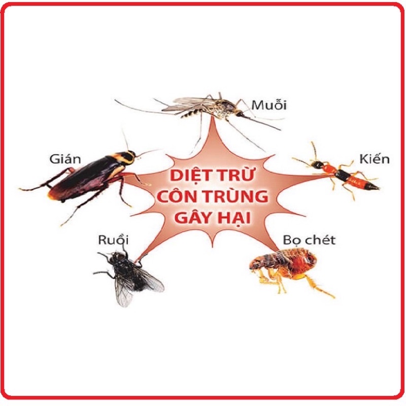 BÌNH XỊT CÔN TRÙNG RAID CÁC LOẠI 600+660+700ml & 300ml