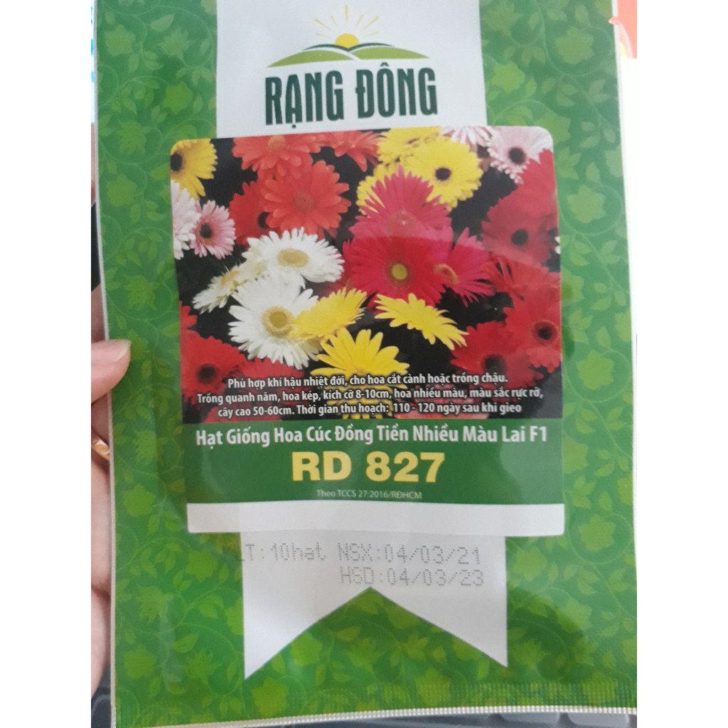 [Seeds] Hạt giống Hoa Cúc Đồng Tiền nhiều màu Rado_10 hạt