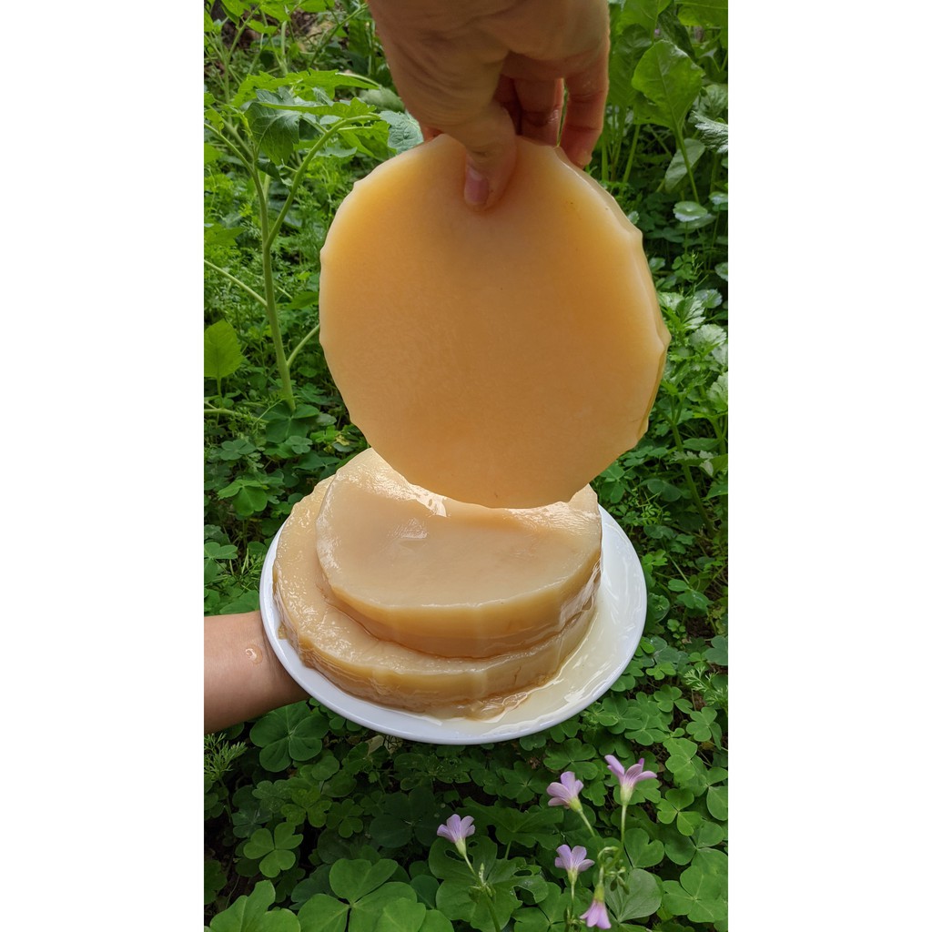 SCOBY Organic - Trà Kombucha Hữu Cơ