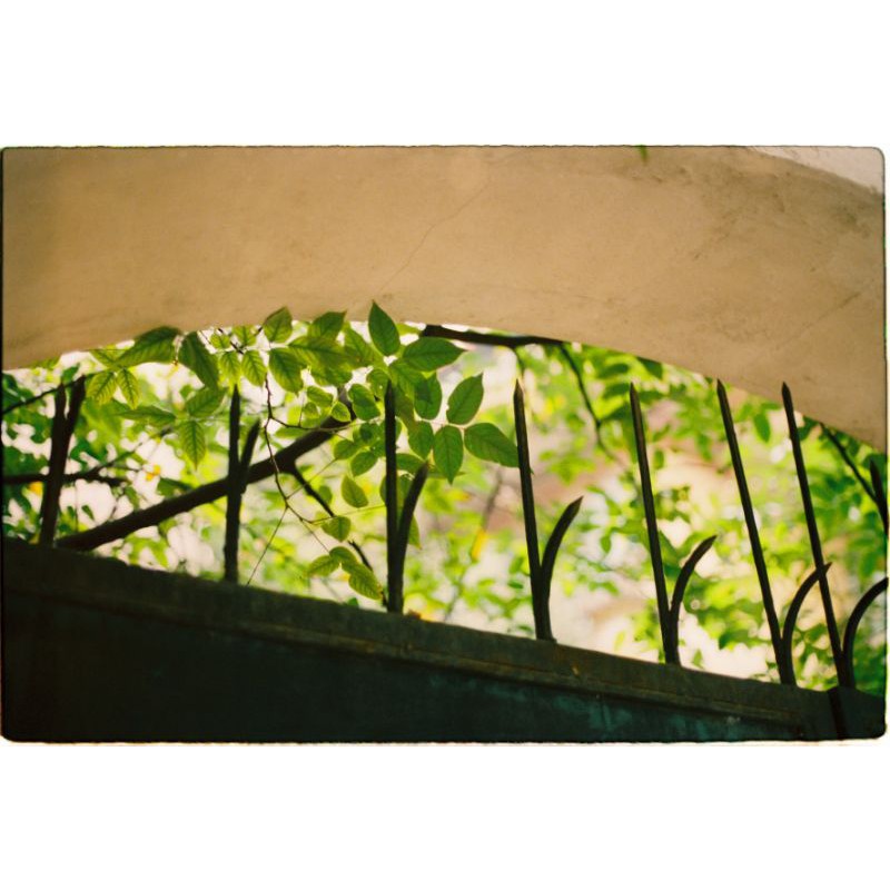 Film Cine điện ảnh Kodak Vision 500T 5279