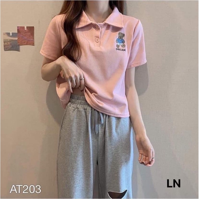 Áo polo logo gấu DREAM TH6