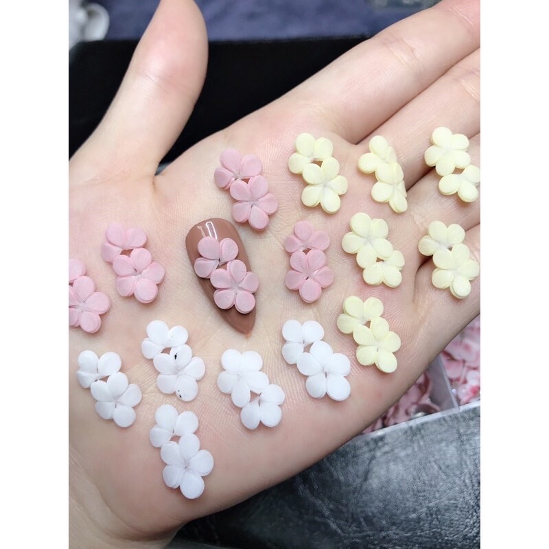 hoa bột nail- Hoa mai kép