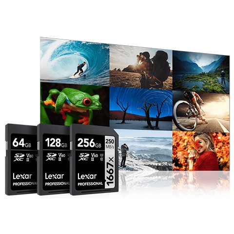 Thẻ nhớ Máy Ảnh SDXC Lexar Professional 64GB 1667x UHS-II U3 V60 Read 250MB/s / Write 80MB/s (Đen)