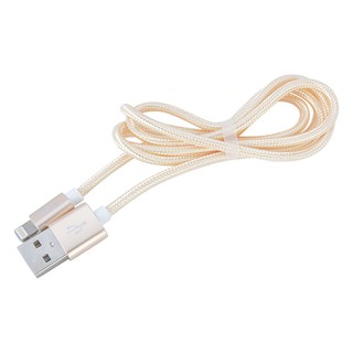 CÁP DÙ SẠC NHANH BAGI CHO IPHONE, IPAD - CB-IS10
