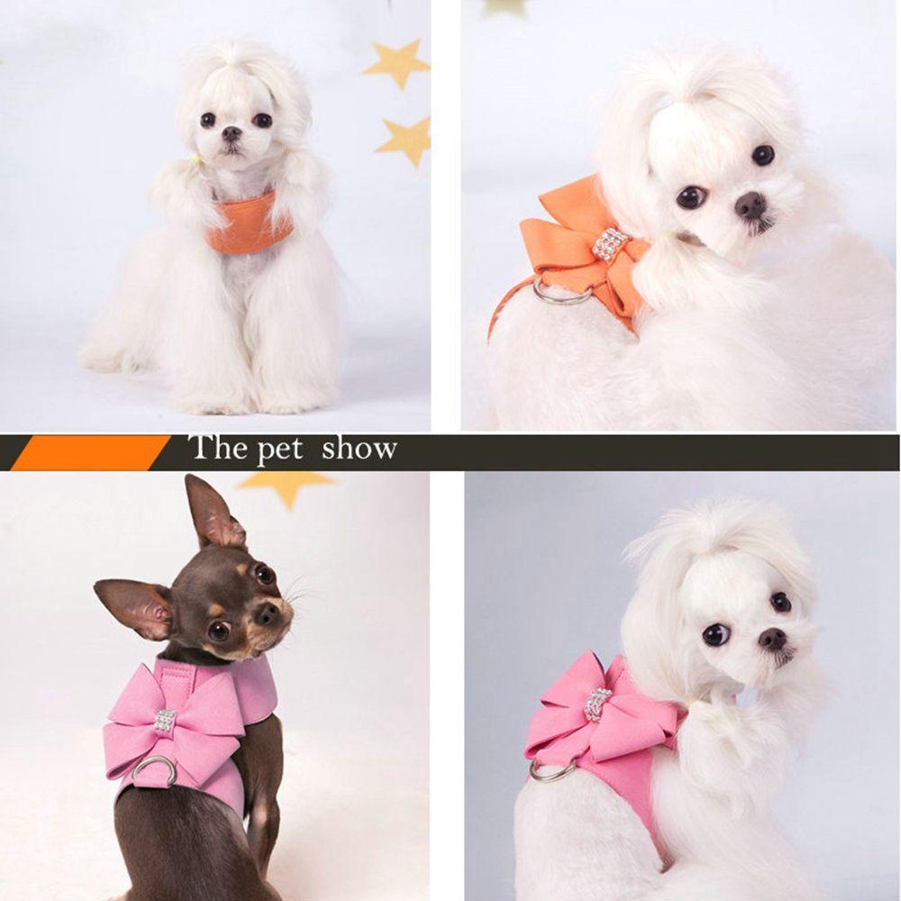 Dây Dắt Chó AUGUSTINA Lấp Lánh|Vòng Cổ MềM MạI Cho Thú Cưng Chihuahua Yorkie