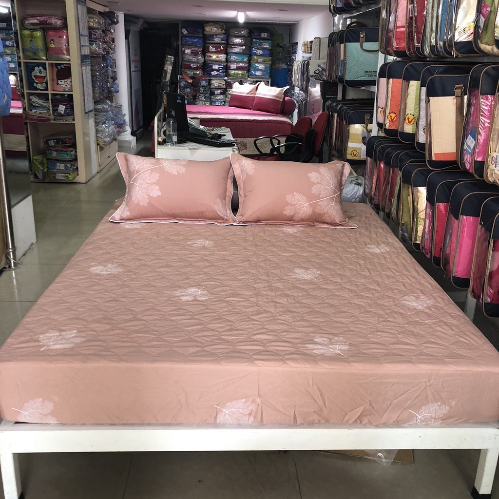 Bộ ga chun 150x190 có chần cotton Sông Hồng