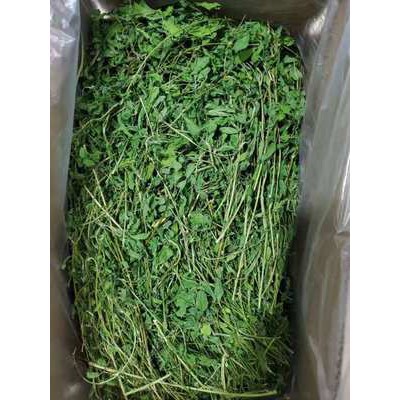 Cỏ Alfalfa Cao Cấp 🥕𝐇𝐨𝐭𝐃𝐞𝐚𝐥🥕 400G Cỏ Alfalfa Nguyên Cây Thức Ăn Cho Thỏ, Bọ, Chinchillas