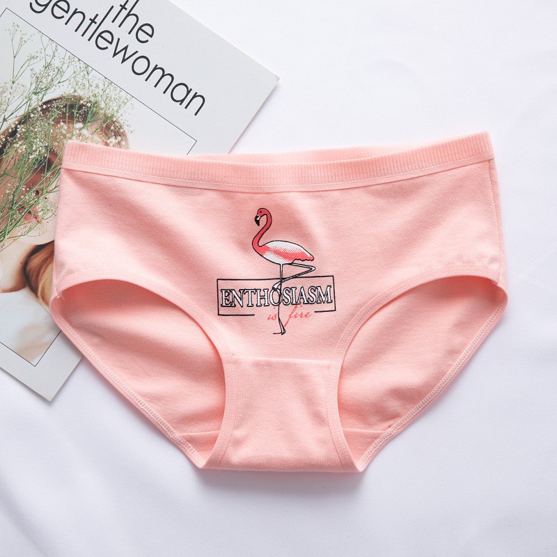Quần lót nữ combo 5 dễ thương họa tiết hồng hạc - ChikChik QLS011