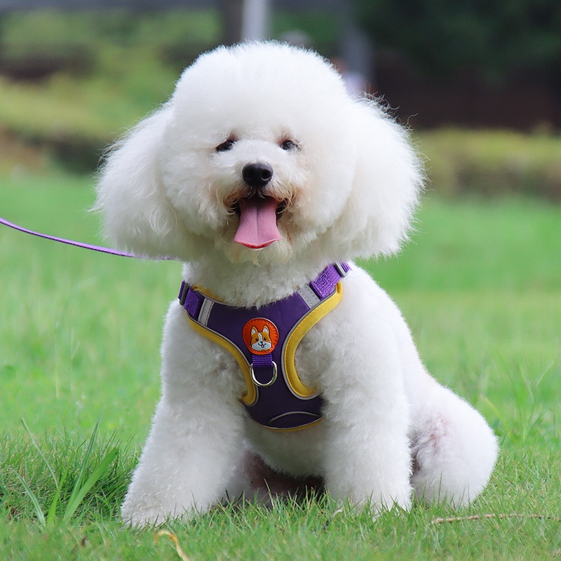 Dây đai đeo cổ phản quang thoáng khí cho thú cưng