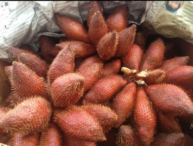 Trái mây Thái Lan 1kg | BigBuy360 - bigbuy360.vn