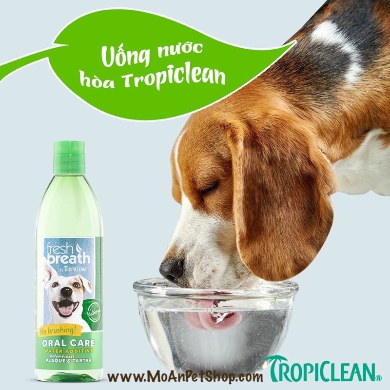 Nước vệ sinh răng miệng TropiClean 473ml cho Chó Mèo - TropiClean Fresh Breath Oral Care Water Additive