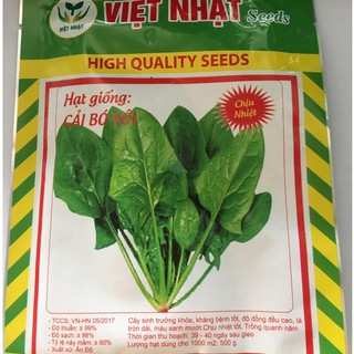 hạt giống rau cải bó xôi