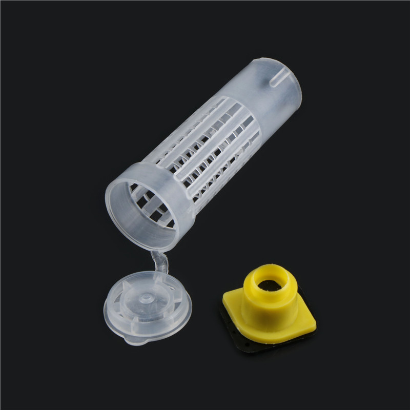 Set 10 Cốc Nuôi Ong Chúa Thiết Kế Con Lăn Tiện Dụng
