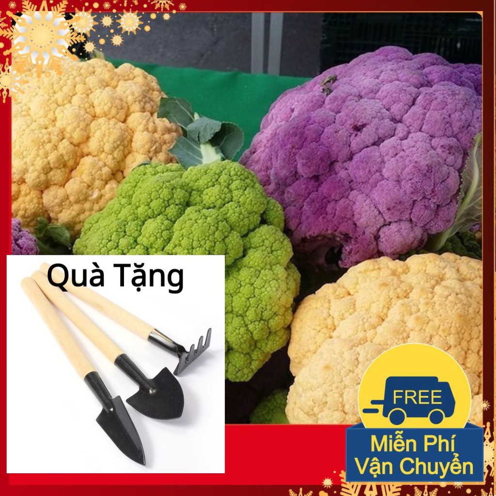 Hạt Giống Súp Lơ Mix Tặng Bộ Dụng Cụ Mini Trồng Cây Tặng Bộ Dụng Cụ Mini Trồng Cây