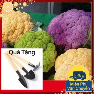 Hạt Giống Súp Lơ Mix Tặng Bộ Dụng Cụ Mini Trồng Cây Tặng Bộ Dụng Cụ Mini Trồng Cây