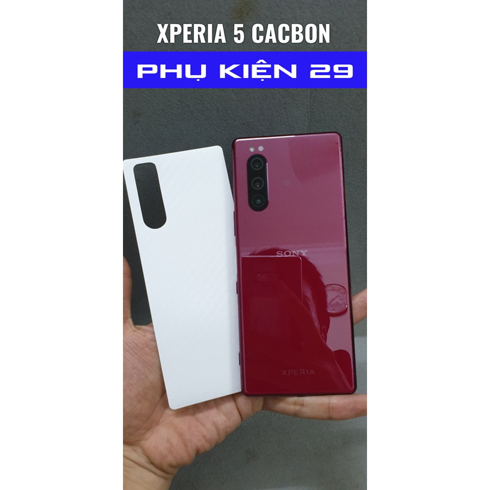 Dán lưng nhám chống xước 3D vân Cacbon