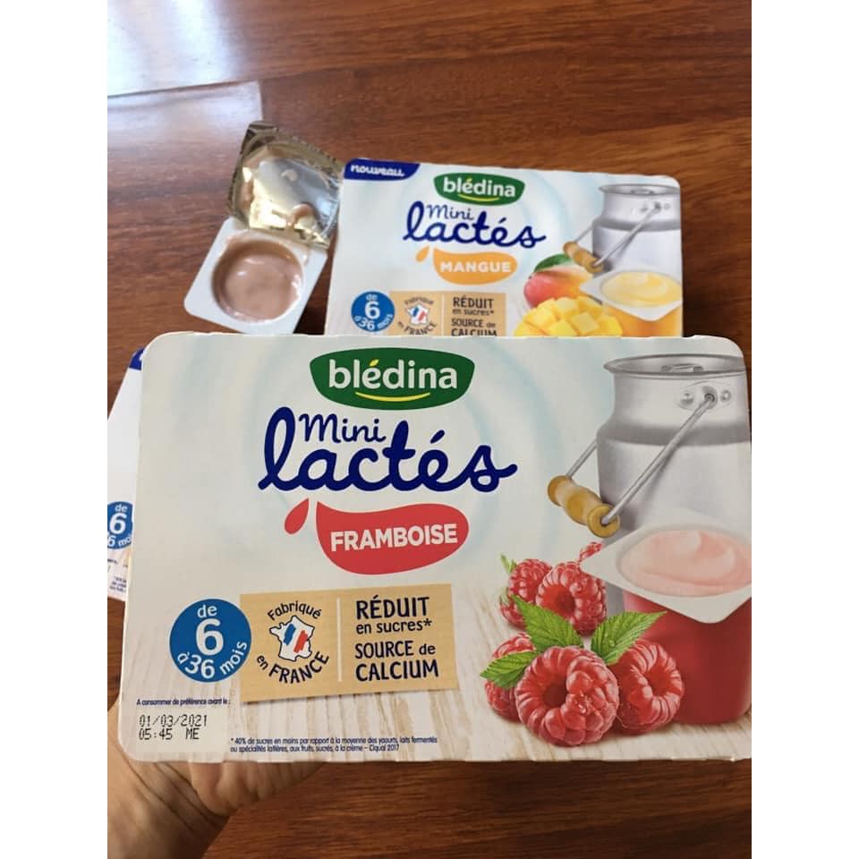 SỮA CHUA NGUỘI BLEDINA CỦA PHÁP