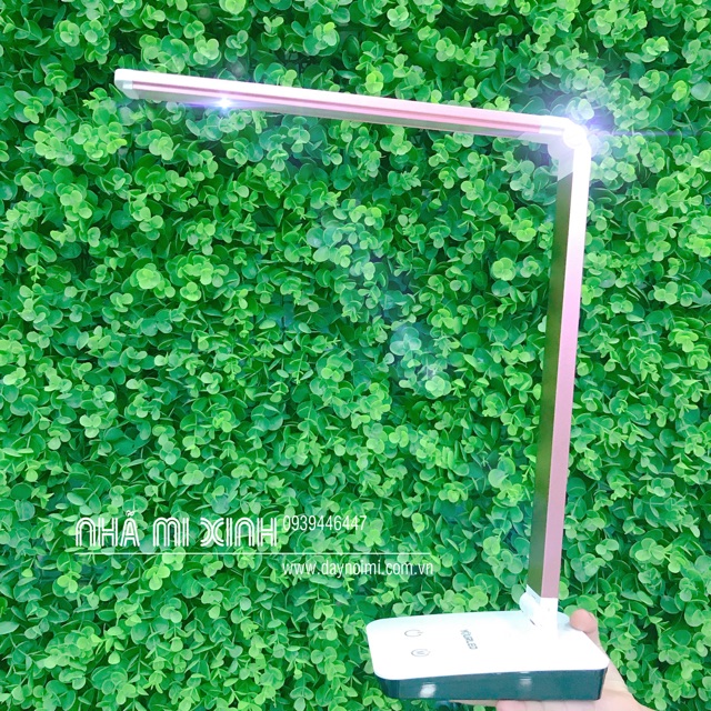 ĐÈN GẤP NỐI MI - THẨM MỸ CAO CẤP
