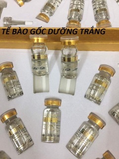 TẾ BÀO GỐC CUTISCURA