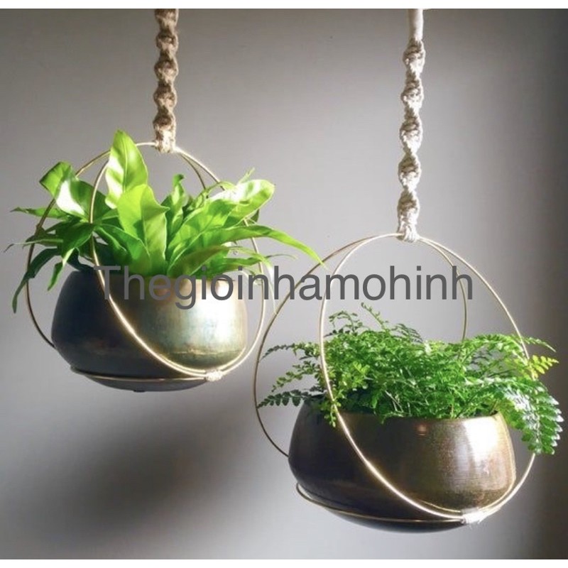 Giá treo cây, giá trồng cây không khí, kệ treo, decor, trang trí không gian