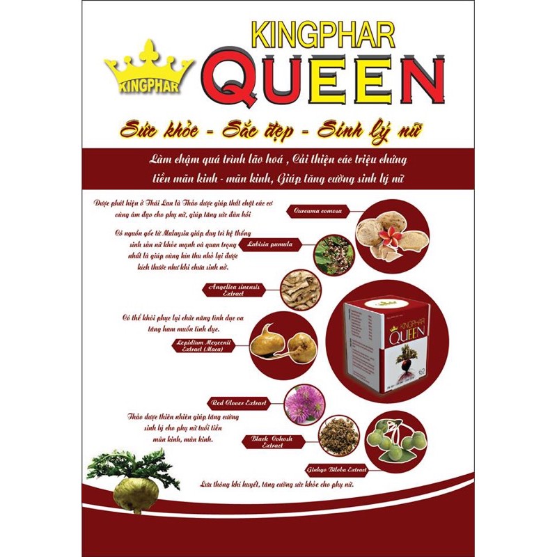 Kingphar QUEEN  Hộp 40 viên  - Cân bằng nội tiết tố nữ, giảm bốc hoả, đẹp da, tăng cường sinh lý nữ