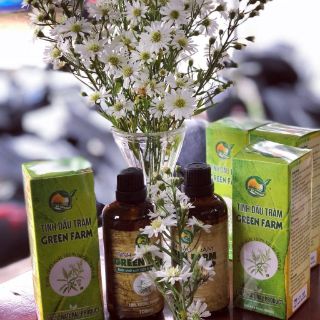 Tinh dầu tràm nguyên chất