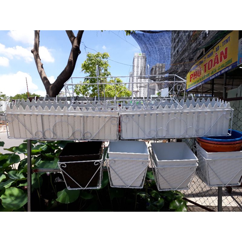 Khung Sắt Để Hoa, Sen Đá, Chậu Hàng Rào